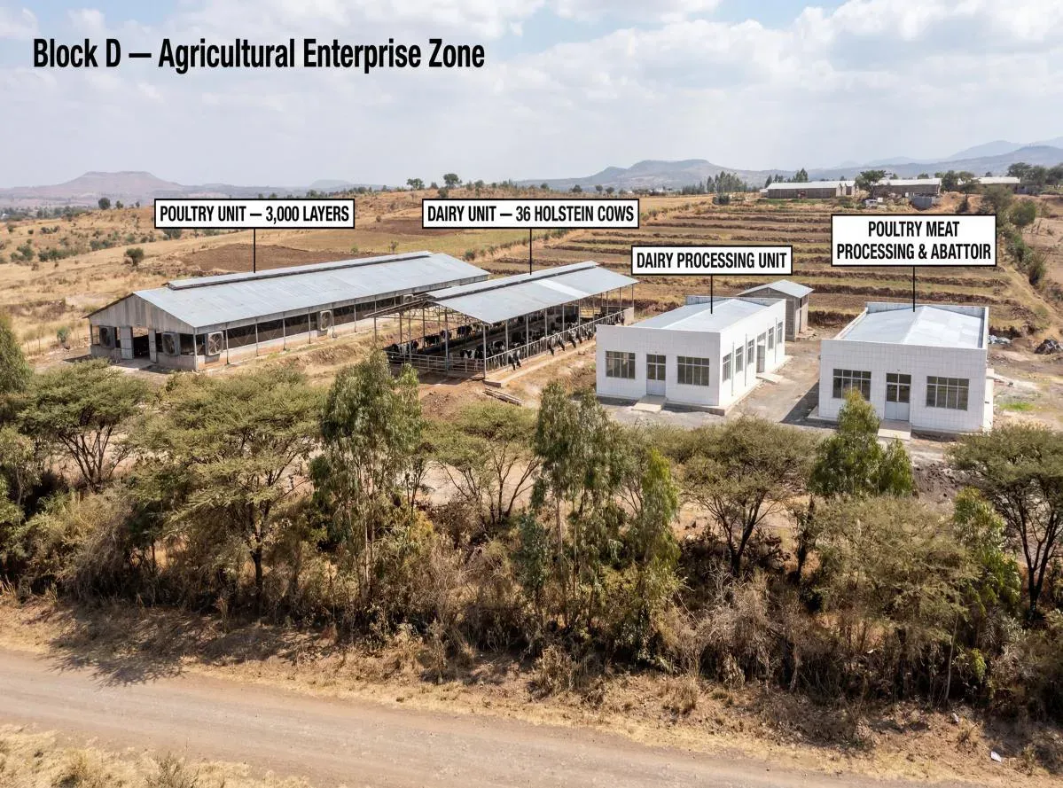 Block D: farm and processing
