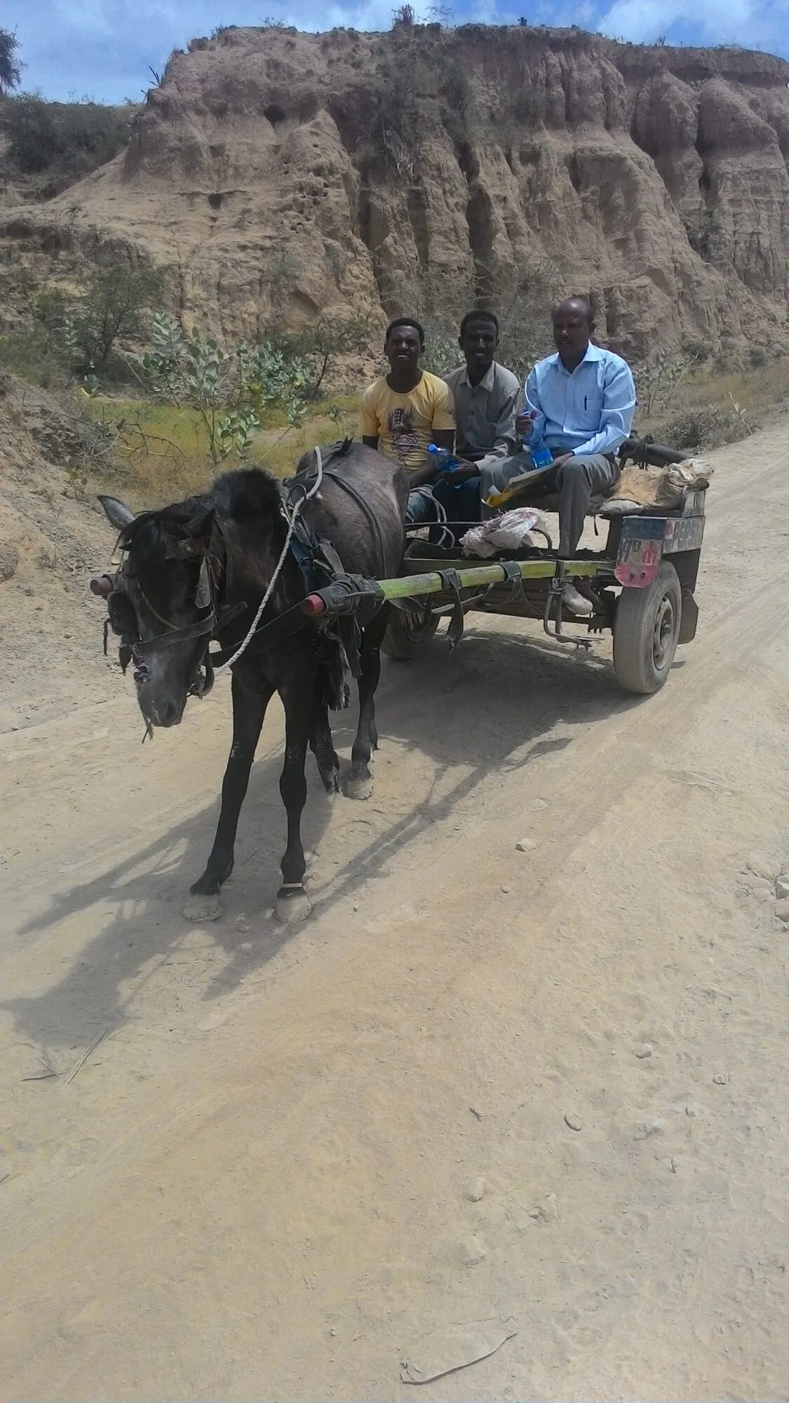 A donkey cart on a low land road